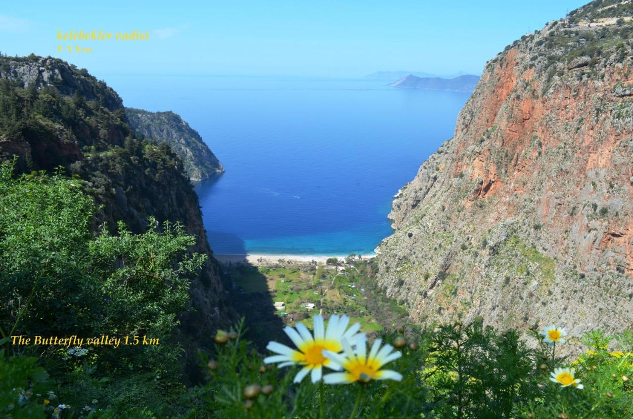 California Apart Otel Ölüdeniz Eksteriør billede